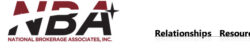 NBAInc.logo - Copy